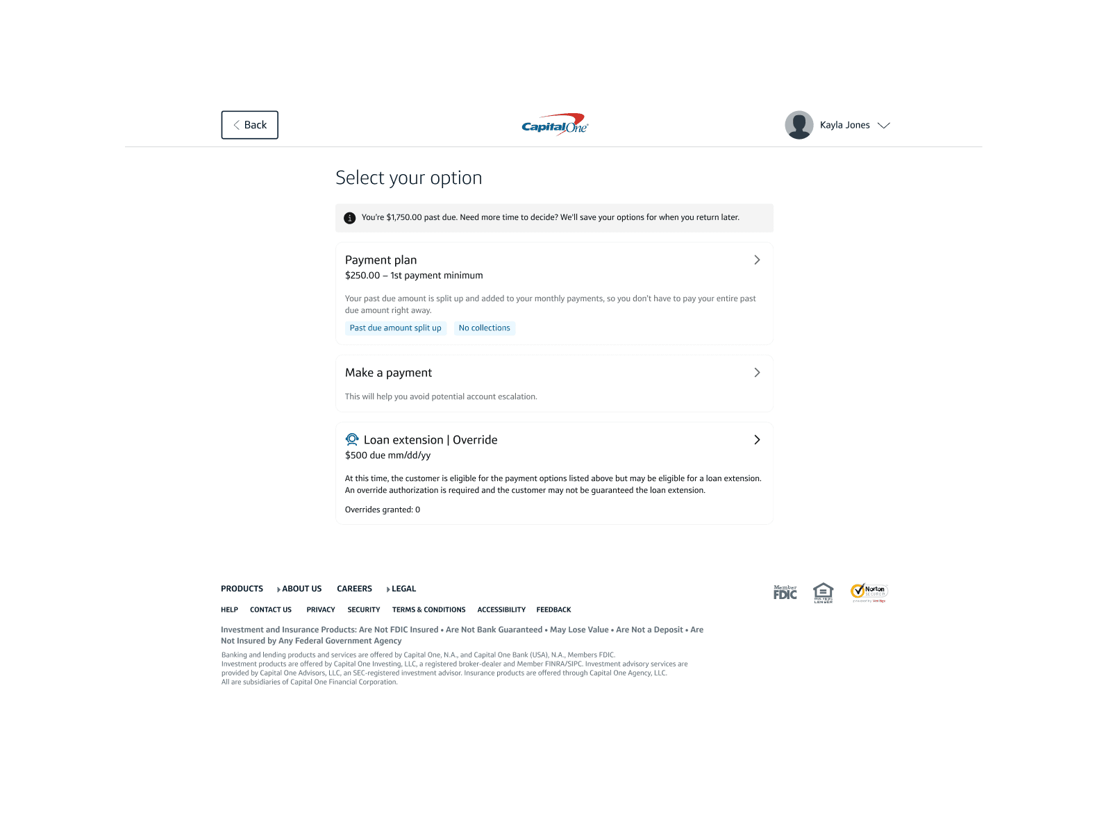 Overrides eligibility panel in agent tool
