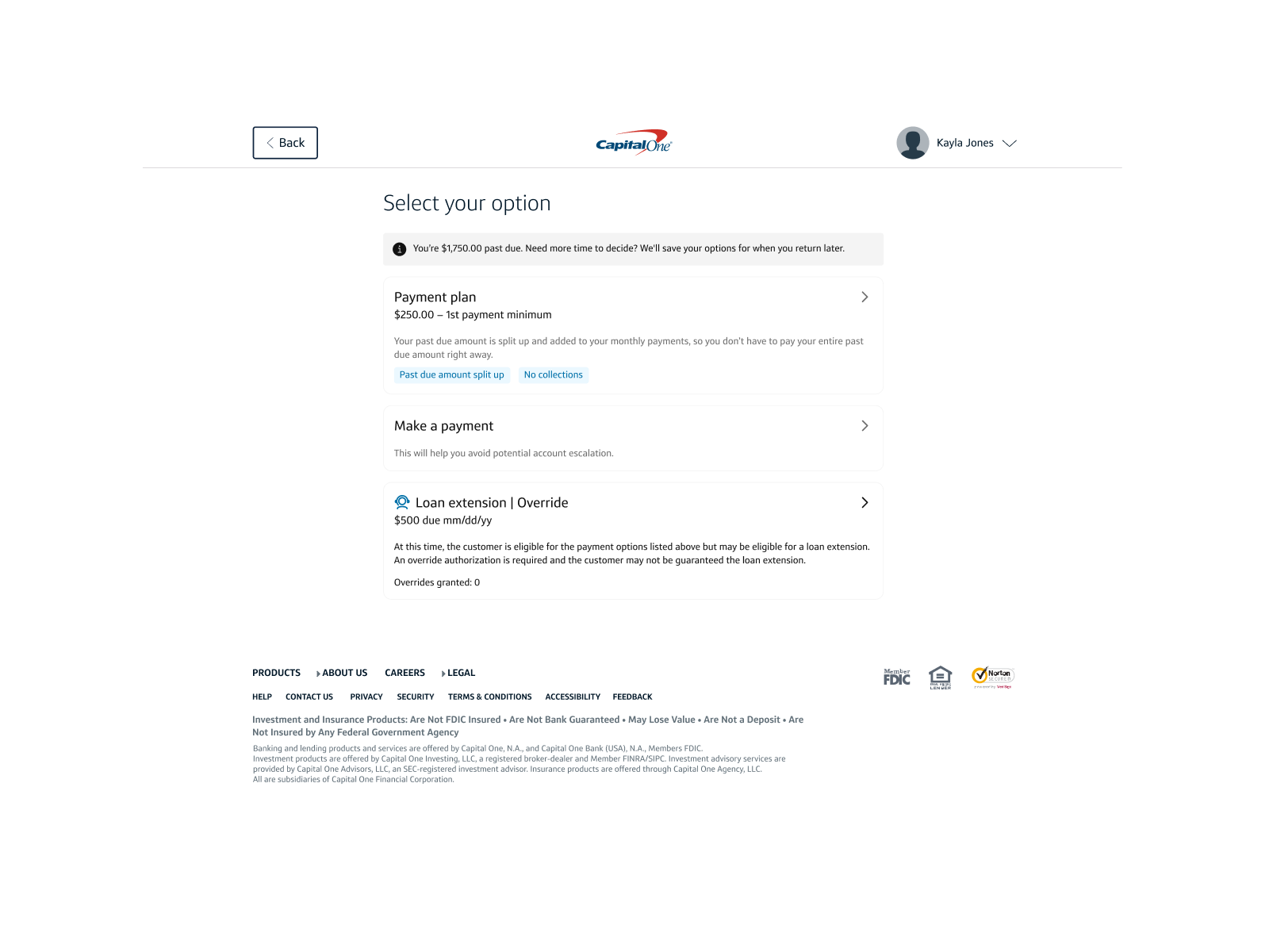 Overrides eligibility panel in agent tool